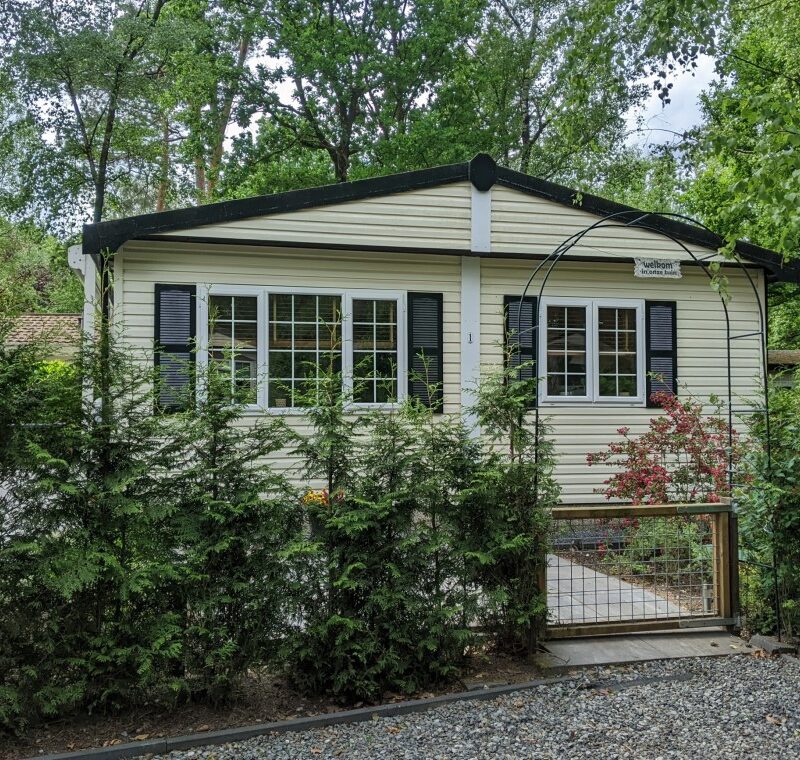 Heerlijk 4-persoons stijlvol ingericht chalet in Uddel