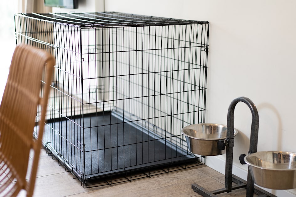 Roompot | Strandpark Duynhille | Hondenbungalow 6C
