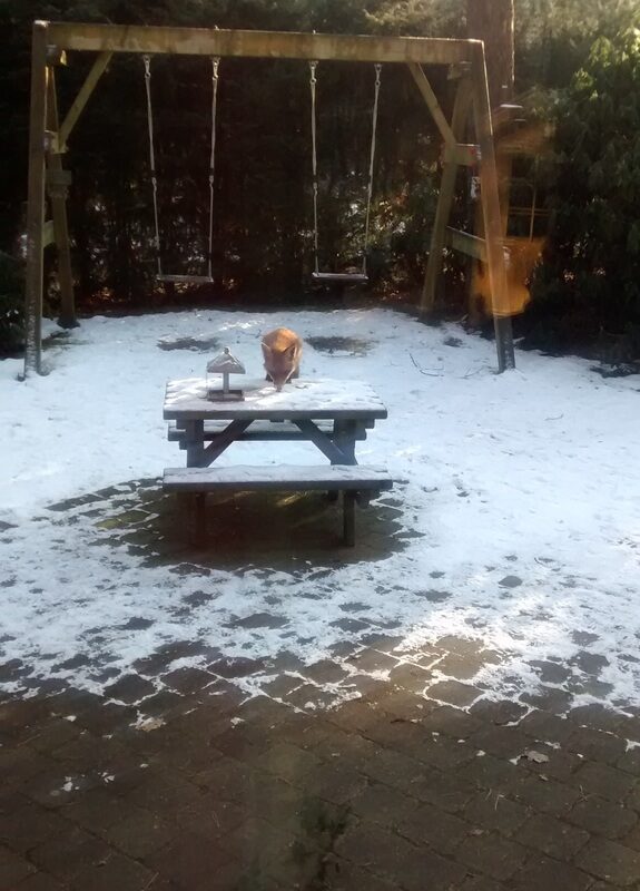 6 Persoons boshuisje in Emst op park de Vliegden