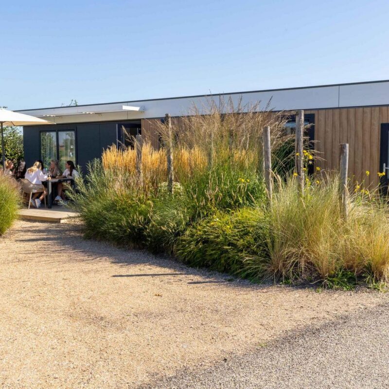 Zonneweelde lodge voor 6 personen