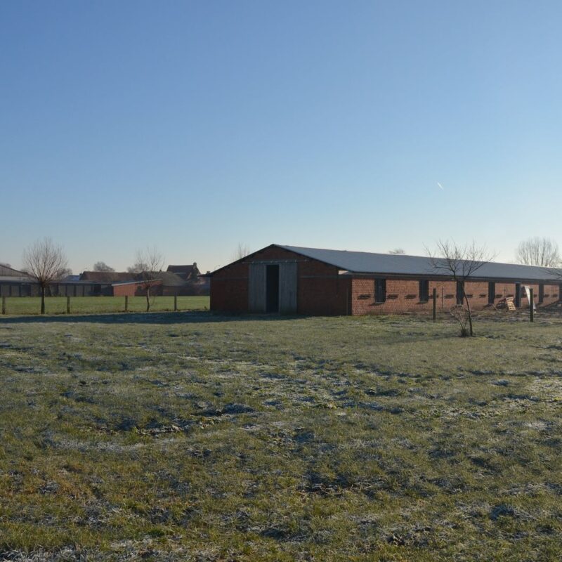 Groepsaccommodatie Lokeren