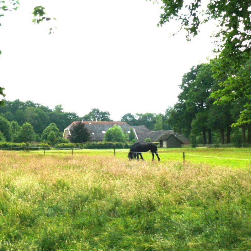 Vakantieboerderij Woudenberg