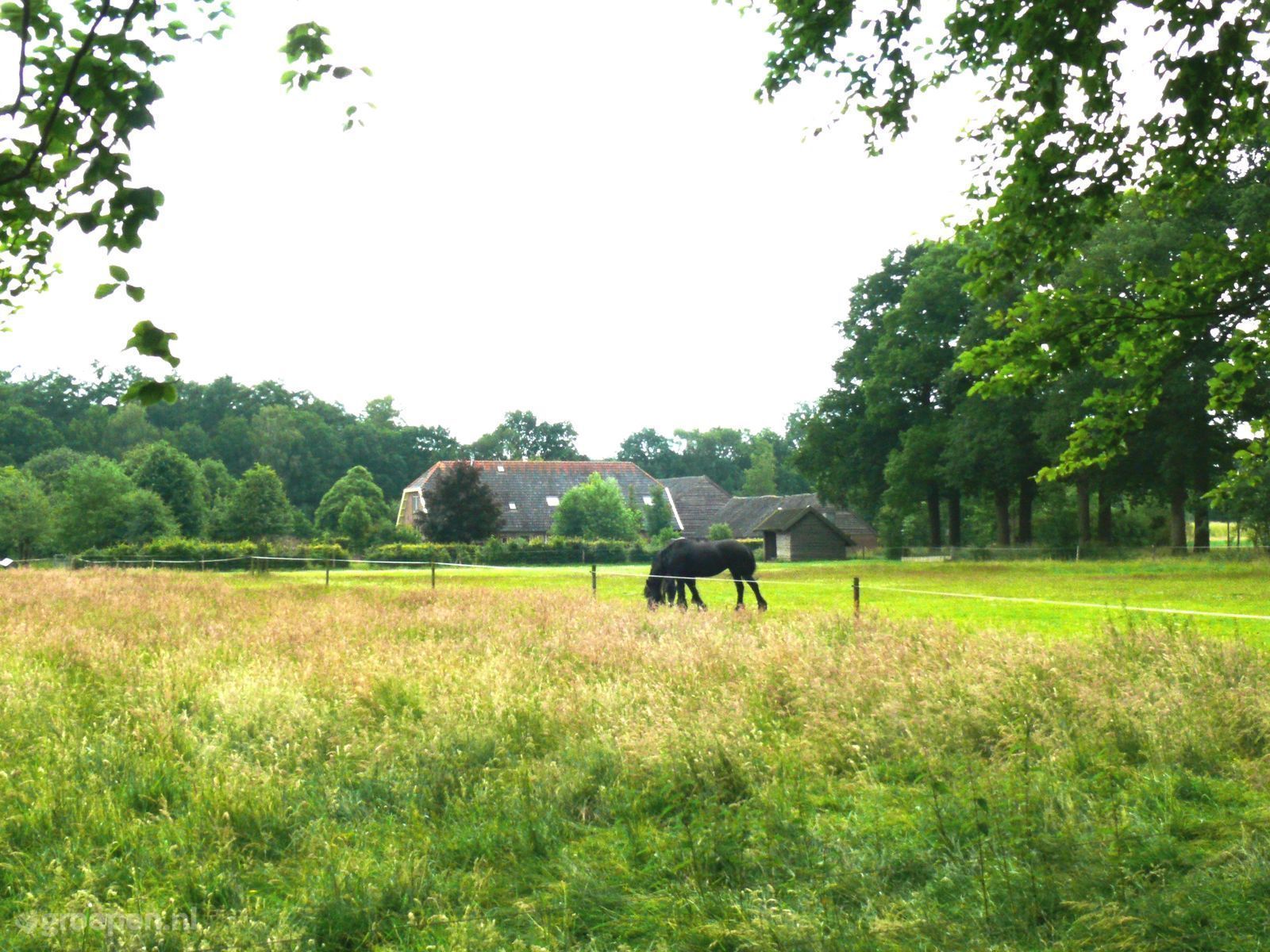Vakantieboerderij Woudenberg
