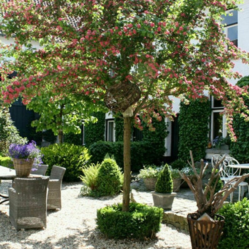 Vakantiehuis Gronsveld