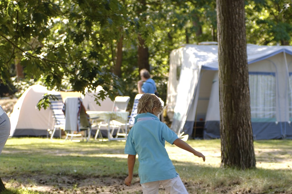 Roompot | Bospark 't Wolfsven | Comfort veld Vos