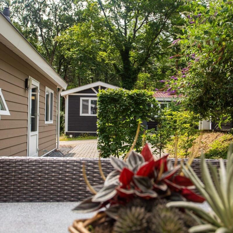 Heuvelrug Cottage Comfort - 4 personen