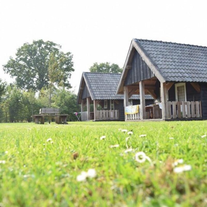 Houtlodge - 18 personen