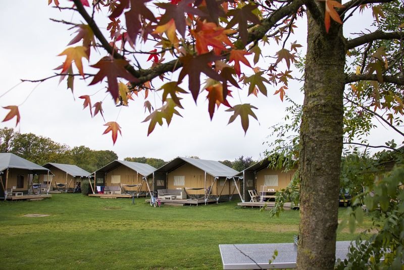 Luxe Safarilodge - 4 personen