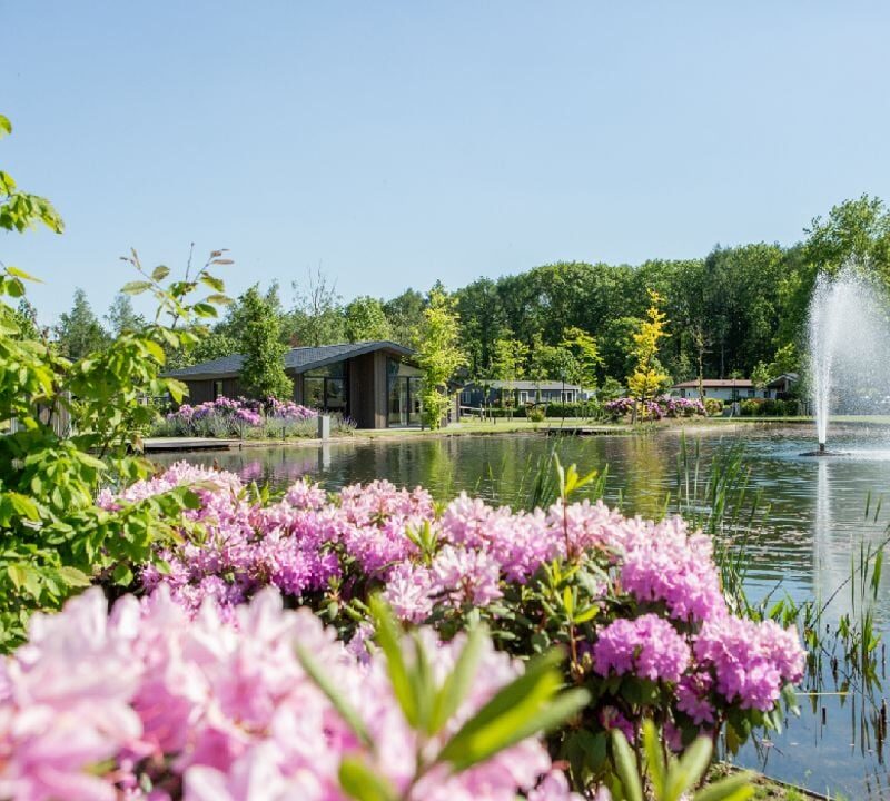Vakantiepark Molenvelden