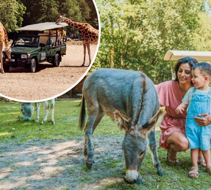 Vakantiepark Dierenbos