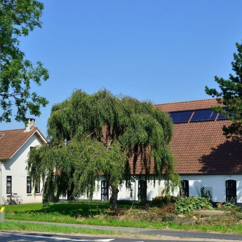 Groepsaccommodatie Zevenbergen