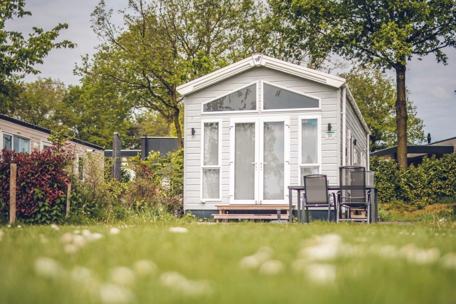 Tinyhouse Eekhoorn 4 personen